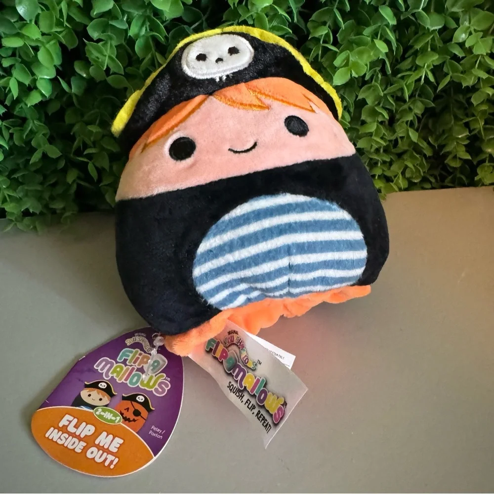 Petey the Pirate & Paxton the Pumpkin 5
